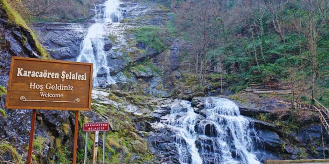 Kendinizi doğanın kucağına bırakmaya hazır mısınız? Giden dönmek istemiyor: Doğal serinliğin adresi 1